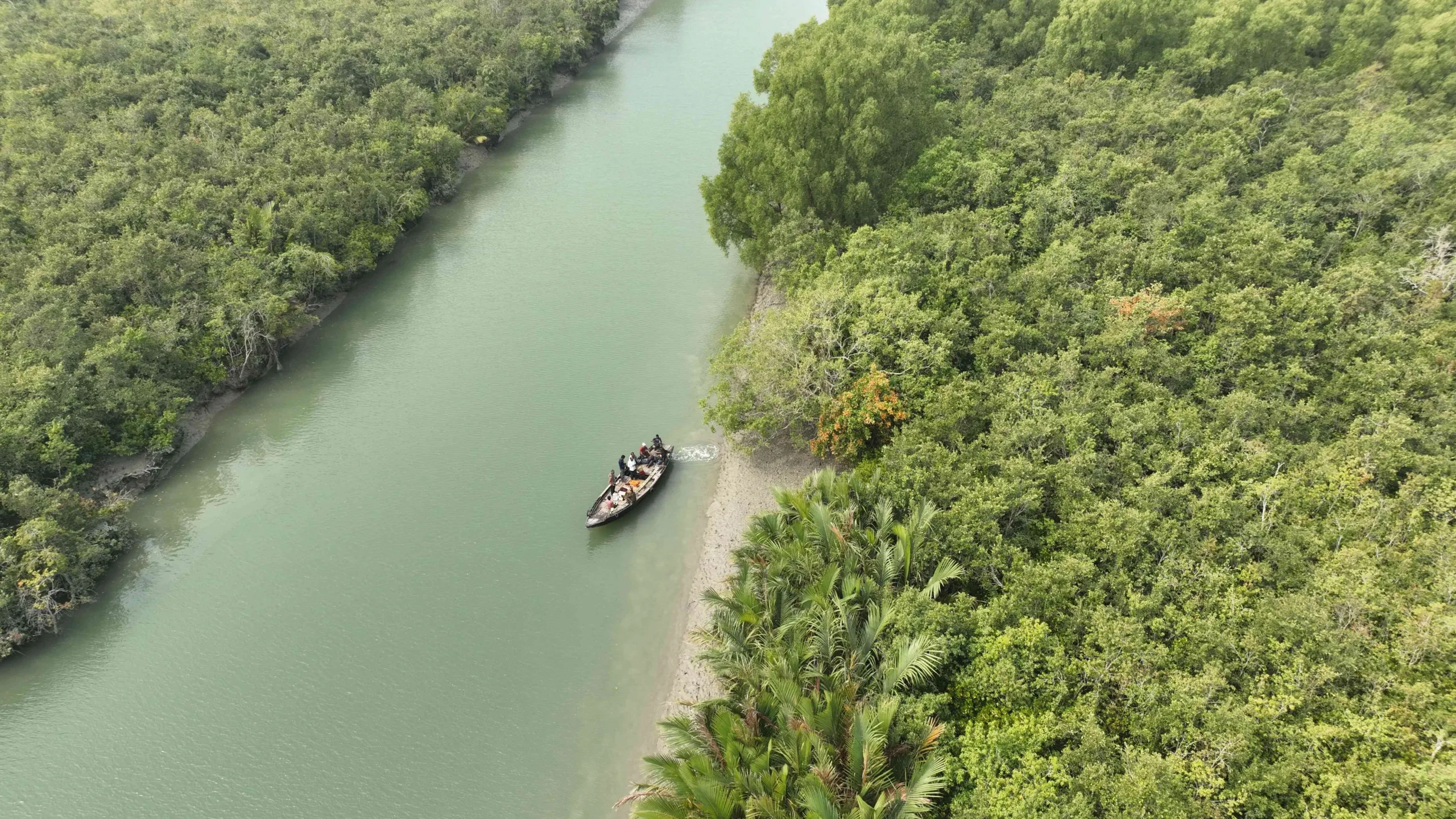 sundarbans, west bengal