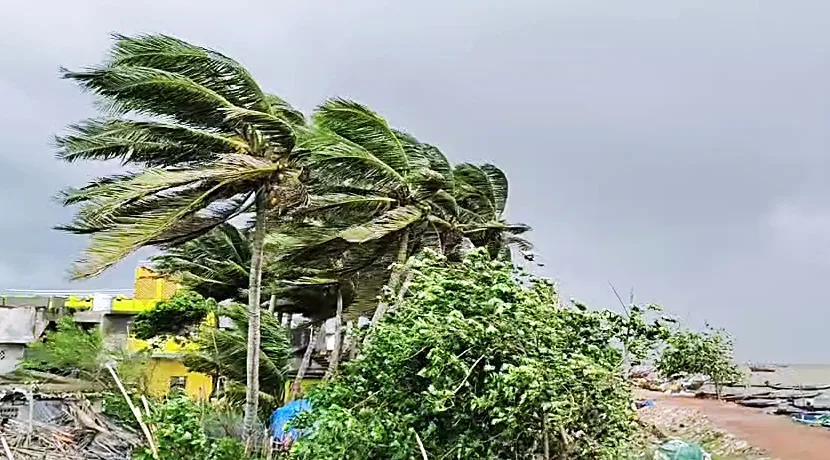 Fishermen sail the boat amid high tidal waves hitting the coast under the influence of Cyclone Arnab, in Puri on Thursday. (ANI Video Grab)