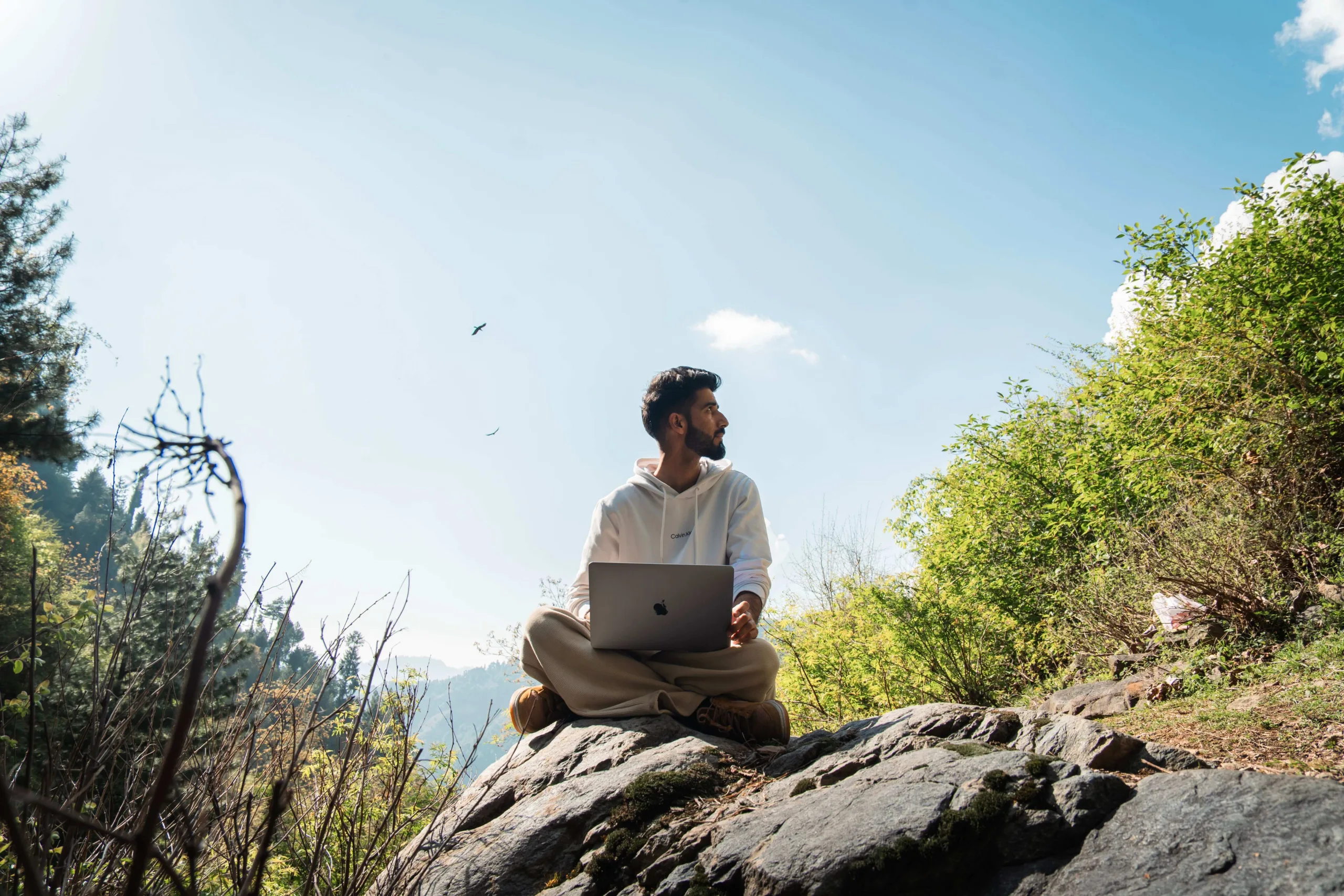 What if your next work desk came with forest views, Wi-Fi and a trek after work? Keralam’s SHOLA initiative is making workations a little wilder.