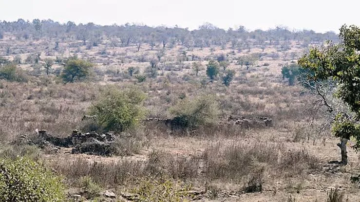 Madhya Pradesh puts forest rights order on hold after Tribal Affairs Minister’s objection. (ANI)